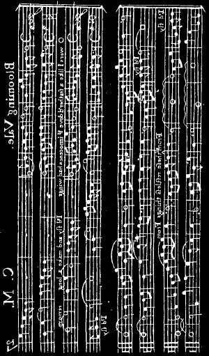 [The Cambridge History of Music 01] • David Nicholls